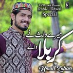 Maray Waris Nay Kirbala Waly