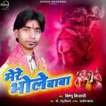 Mere Bhole Baba