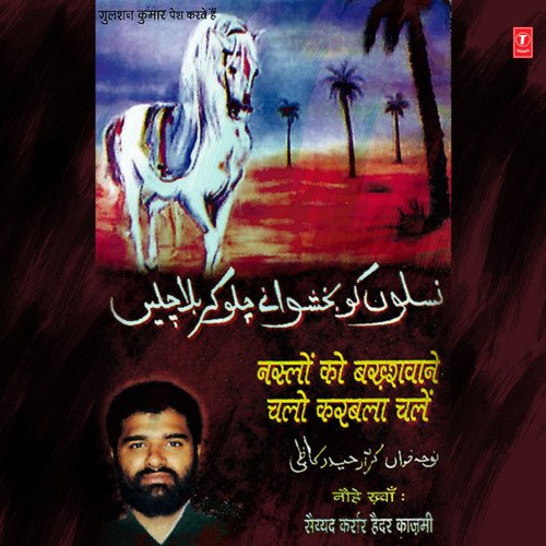 Shabbir Sir Kataane Maktal Ko Jaa Rahe Hain cover art