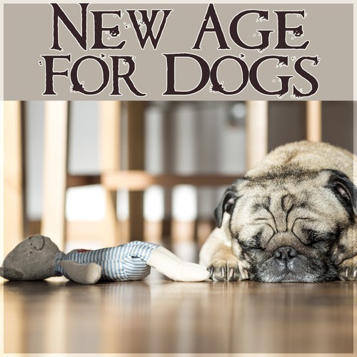 New Age for Dogs - Calm Down Your Animal Companion, Soothing Nature Sounds for Puppies & Cats, Music for Pets