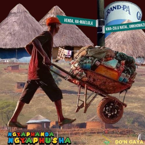 Ngyaphanda Ngyaphusha (feat. Phuzekhemisi) cover art