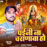 Paini Na Charanawa Ho