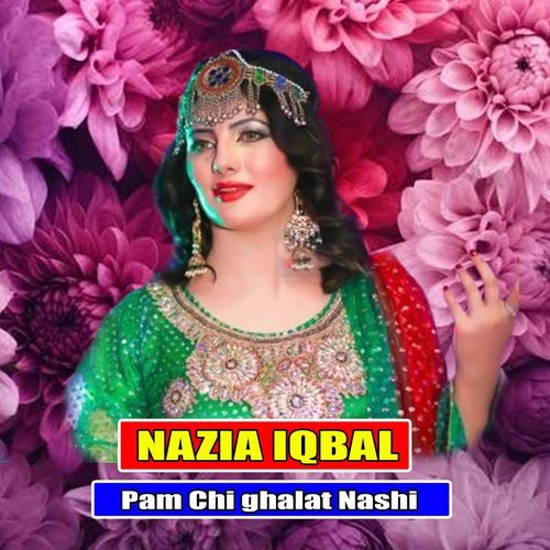 Pam Chi ghalat Nashi