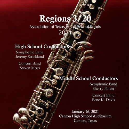 The Groovemeister cover art