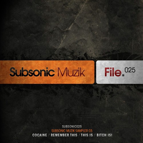 Subsonic Muzik Sampler, 03