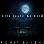 Tere Jaane Ke Baad