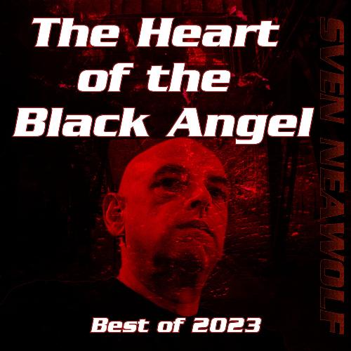 Du hast geliebt cover art