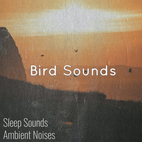 Bird Sounds Birds Singing cover art
