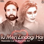 Tu Meri Zindagi Hai, Vol. 64
