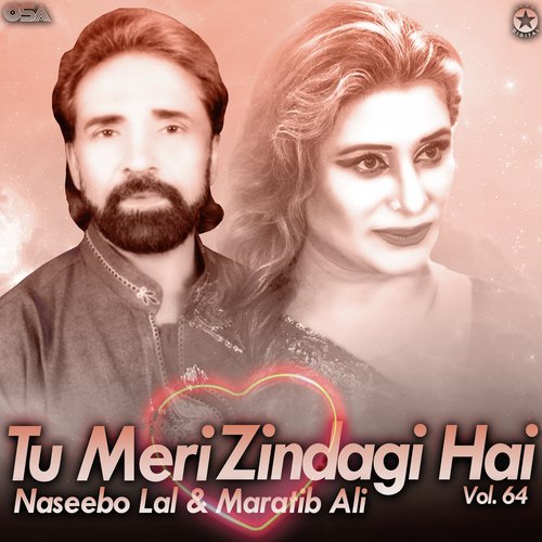 Tu Meri Zindagi Hai, Vol. 64_poster_image