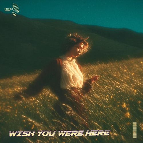 Wish You Were Here