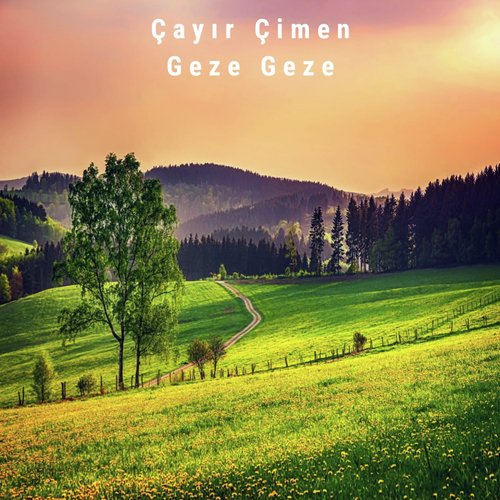 Çayır Çimen Geze Geze (Instrumental) cover art
