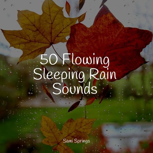 50 Flowing Sleeping Rain Sounds