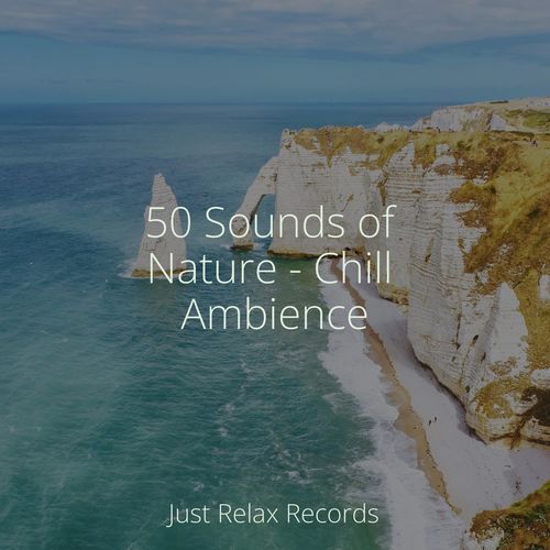 50 Sounds of Nature - Chill Ambience