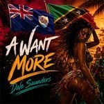 A Want More Original Mix (Original Mix)