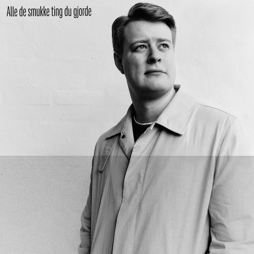 Alle De Smukke Ting Du Gjorde