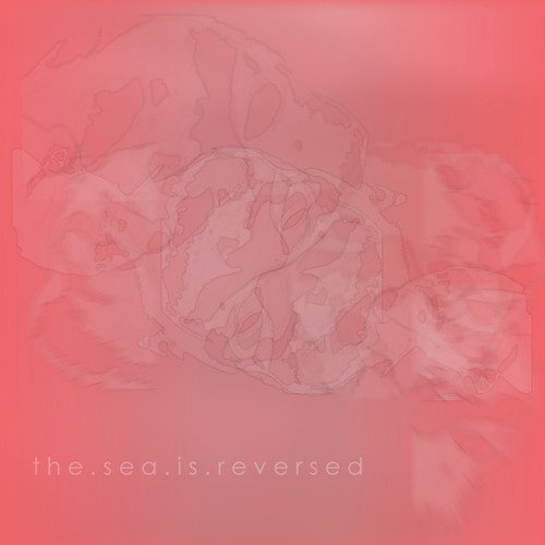 Birthday Suit cover art