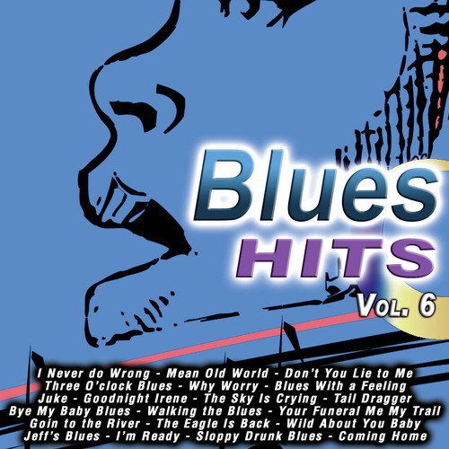 Blues Hits Vol. 6