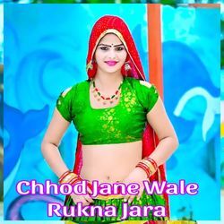 Chhod Jane Wale Rukna Jara-LzwIQT5ZYGc