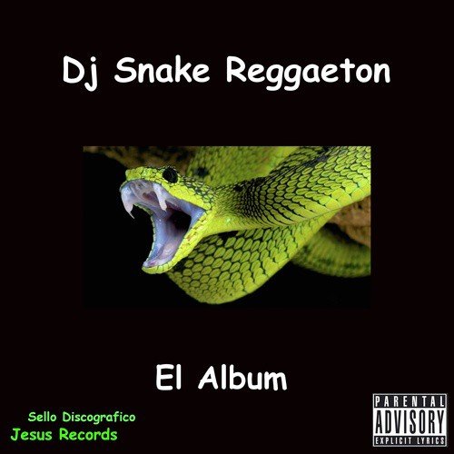 Instrumental Song Download From Dj Snake Reggaeton Jiosaavn