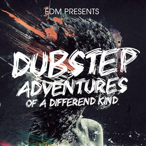 Dub Step Adventures of a Different Kind