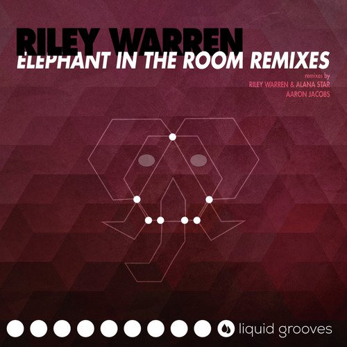 Elephant in the Room (Riley Warren & Alana Star Remix) cover art
