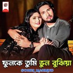 Fulke Tumi Vul Bujia