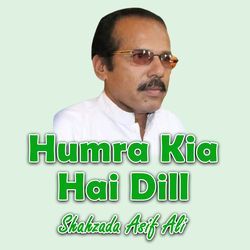 Humra Kia Hai Dill-GT5ZYQB1WX0