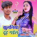 Jhulaniya tu Gail na (Kaharwa song)