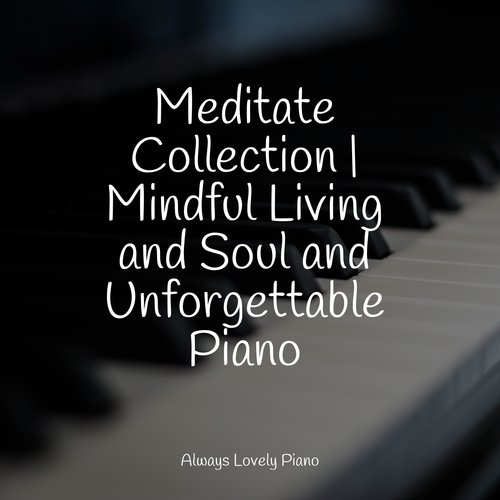 Meditate Collection | Mindful Living and Soul and Unforgettable Piano