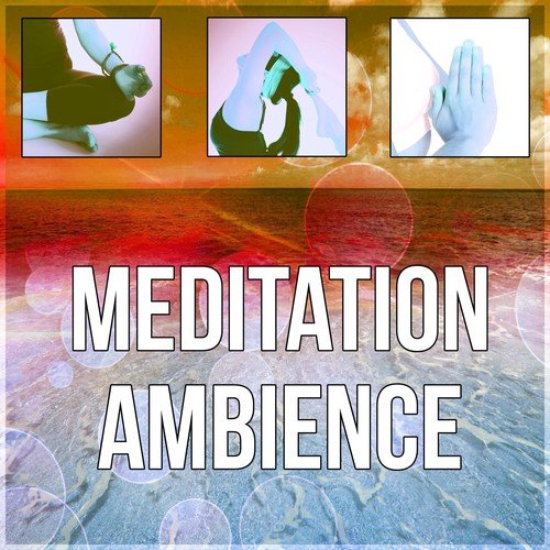 Meditation Ambience - Yoga Classes, Yoga Poses & Meditation, Yoga for Weigh Loss, New Age Calming Music