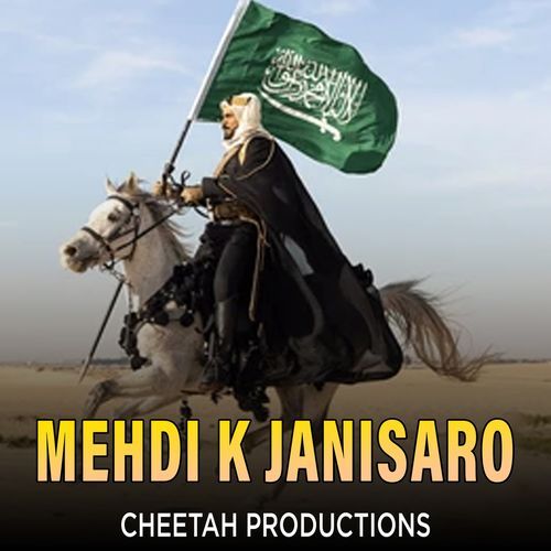 Mehdi K Janisaro