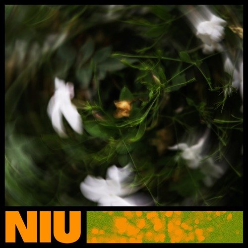 Niu cover art