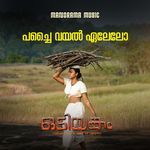 Pachai Vayal Eelelo (From "Odiyangam")