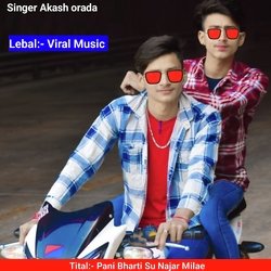 Pani Bharti Su Najar Milae