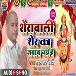 Sherawali Sher Ka Jabab Nahi Hai