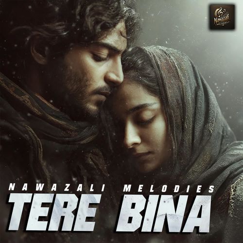 Tere Bina