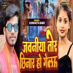 Tor Jawaniya Chhinar Ho Gelau