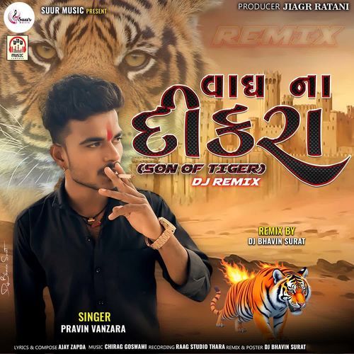 Vagh Na Dikra (Son Of Tiger - DJ Remix)