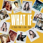 What If (I Told You I Like You)