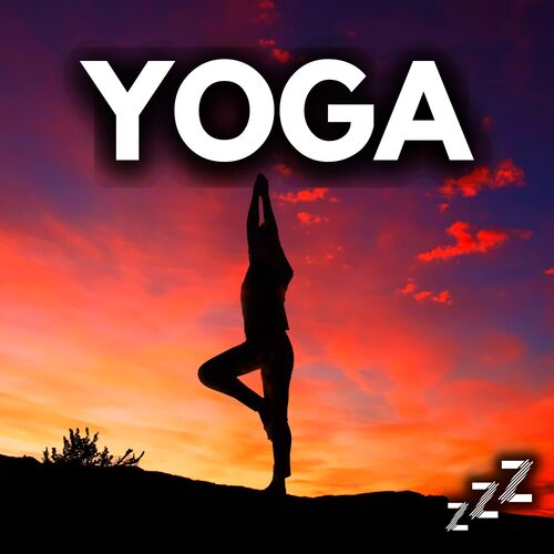 Bikram (Loopable) cover art