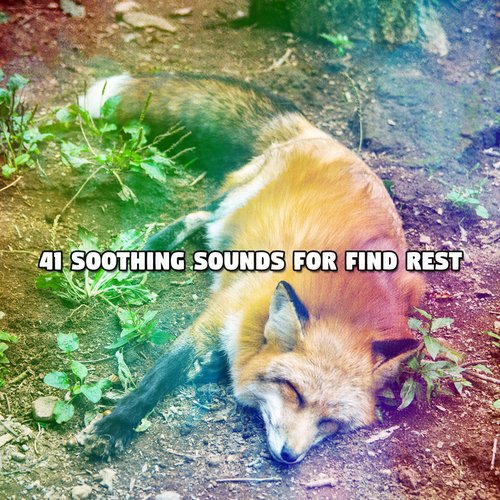 41 Soothing Sounds For Find Rest