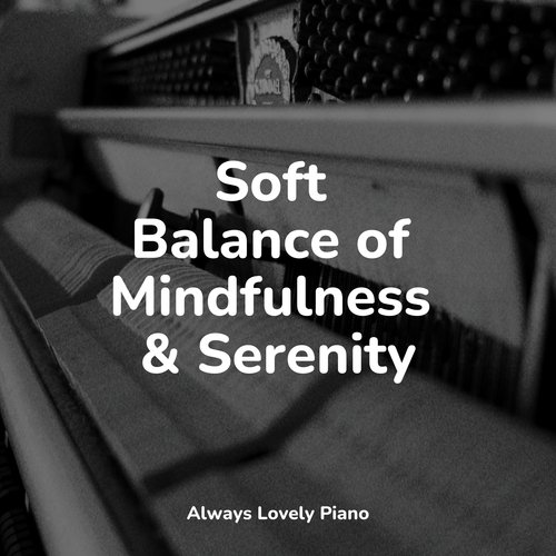 50 Calming Piano Hits for the Absolute Relaxation