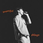 Beautiful Things (Acoustic) (Acoustic)