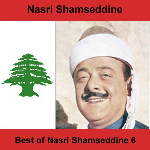 Nasri Shamseddine