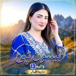 Janana Ter Wakhtona Her Ka Tappy artwork