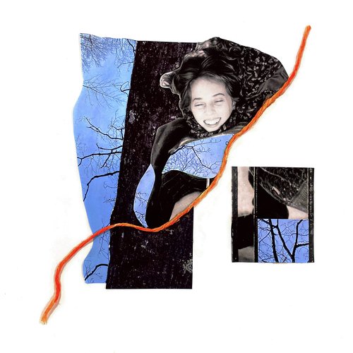 Blue Hippo cover art