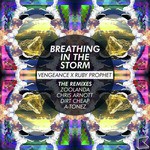 Breathing in the Storm