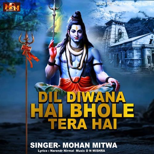 DIL DIWANA HAI BHOLE TERA HAI