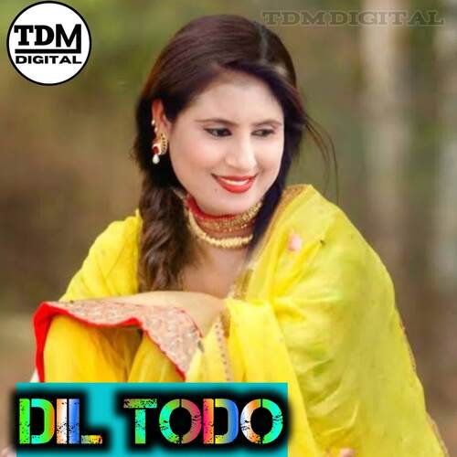 Dil Todo